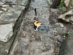 -四门塔风景区