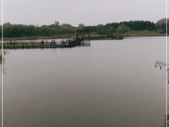 -溱湖国家湿地公园