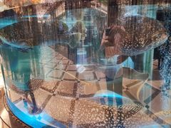 -金翠皇宫粤菜·点心·海鲜(科技园店)