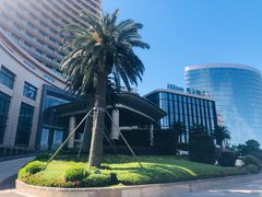 -舟山希尔顿酒店