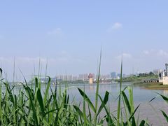 -九龙湖公园