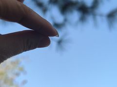 -合肥滨湖国家森林公园