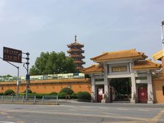 -海棠糕双酿团