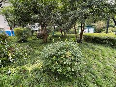 -兰溪青年公园