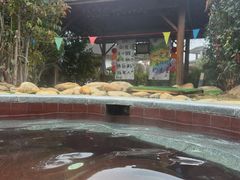 -庐山上汤温泉度假村