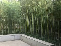 -茶肆(袁家村店)