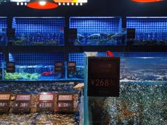 水产区-徐记海鲜(大明宫|北二环店)