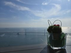 -大连君悦酒店·星海湾壹号Dalian·Dalian(星海广场店)