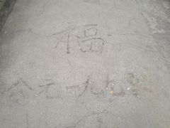 -北京鹫峰国家森林公园