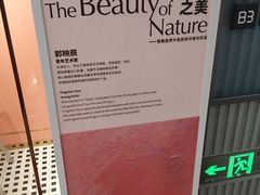 -CloudD'or可露朵蛋糕(1733商业空间店)