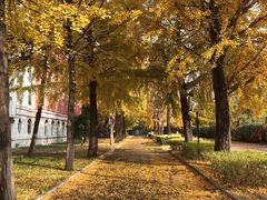 -沈阳药科大学