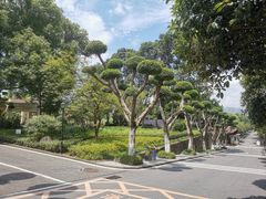 -聂荣臻元帅陈列馆