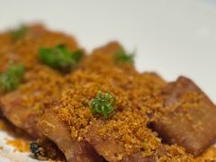 风沙巴马小香猪-西郊壹号
