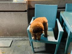 -吉友粥底火锅(方斜路店)