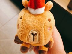 -星巴克(北京西大望路温特莱店)