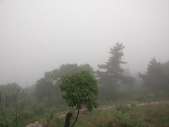 -雨花胜境