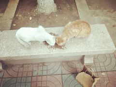 -南京理工大学紫金学院