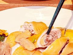 -南海渔村(珠江新城店)