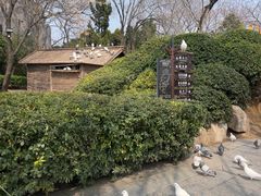 -中国翰园碑林