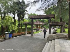 -晓港公园