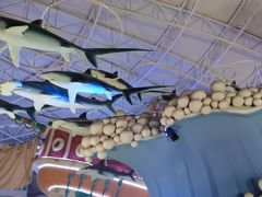 -烟台海昌鲸鲨海洋公园