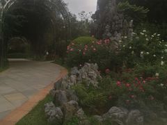 -人民公园(罗湖区)