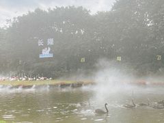 -广州长隆飞鸟乐园