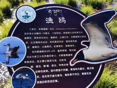 -花湖生态旅游区