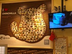 -龙猫仔乐园(惠福东路店)