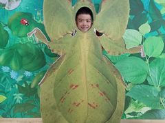 -上海昆虫博物馆