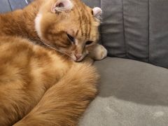 -平行世界·猫咖(首经贸店)
