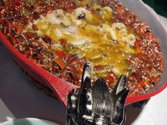 -雲蜀龙阁·金牌水煮鱼(方庄店)