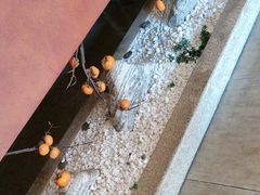 -端艾堂·SPA·艾灸(鸳鸯006店)