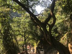 景点-太和古洞