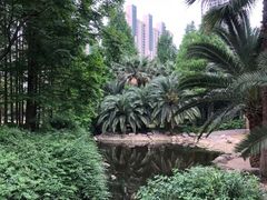 -苏州河梦清园环保主题公园