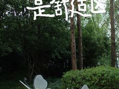 -金鸡湖桃花岛