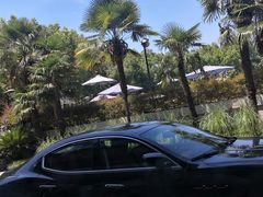 -海逸海鲜酒家(古北店)