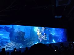 -江和美海洋公园