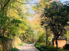 -法云古村