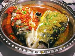 双色鱼头-9家湘菜(上南路店)