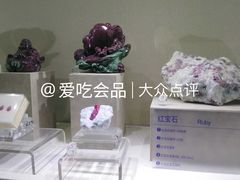 -安徽省地质博物馆