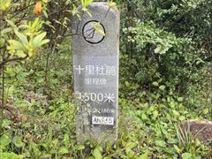 -梧桐山风景名胜区