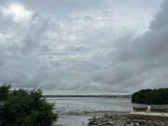 -宝安西湾红树林湿地公园
