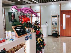 -茂菊口腔连锁(浦东南路店)