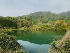 -龙坞茶村