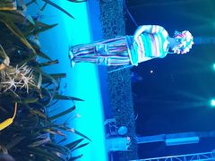 -渔家火锅·海鲜自助餐·演艺(亚龙湾天域酒店)