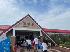 -碧海金沙