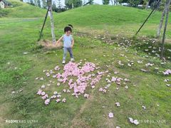 -武汉紫薇都市田园