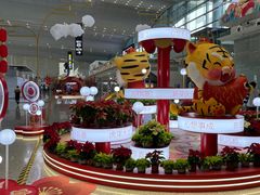 -广州白云国际机场-T2航站楼