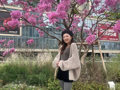 -深圳湾万象城(南山店)